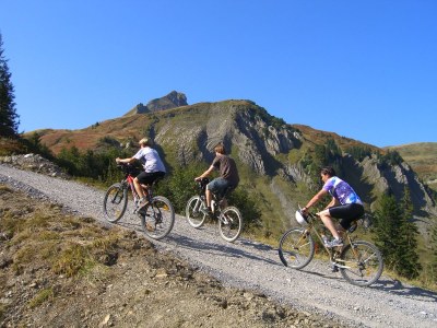 Holiday apartment Zafernblick - Environment photo 24