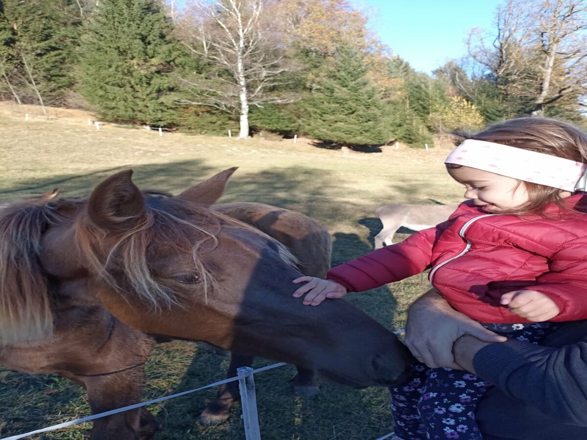 Apartment Apartment in Stans near Wolfsklamm River - Outdoor photo 4