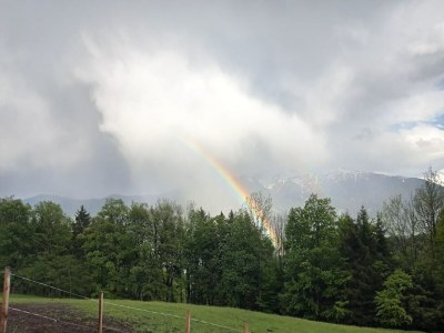 Apartment Apartment in Stans near Wolfsklamm River - Outdoor photo 7