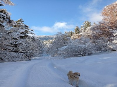 Apartment Apartment in Stans near Wolfsklamm River - Outdoor photo 8