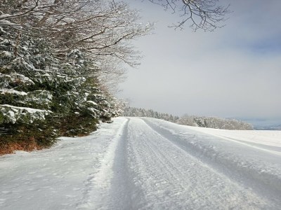 Apartment Apartment in Stans near Wolfsklamm River - Outdoor photo 12