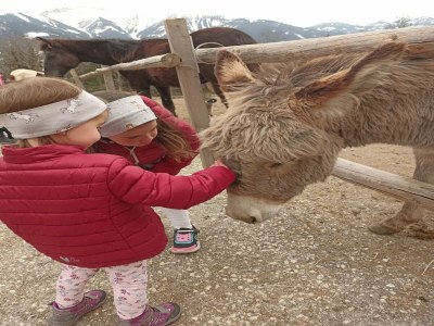 Apartment Apartment in Stans near Wolfsklamm River - Outdoor photo 26