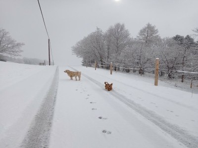Apartment Apartment in Stans near Wolfsklamm River - Outdoor photo 33