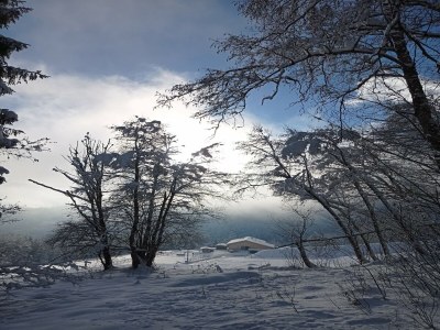 Apartment Apartment in Stans near Wolfsklamm River - Outdoor photo 36