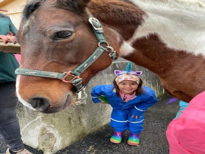 Apartment Apartment in Stans near Wolfsklamm River - Outdoor photo 48