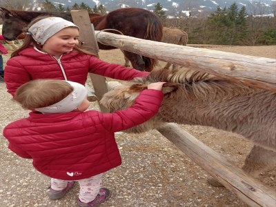 Apartment Apartment in Stans near Wolfsklamm River - Outdoor photo 49