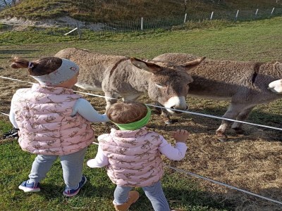 Apartment Apartment in Stans near Wolfsklamm River - Outdoor photo 50