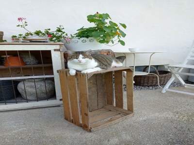 Apartment Apartment in Stans near Wolfsklamm River - Outdoor photo 51