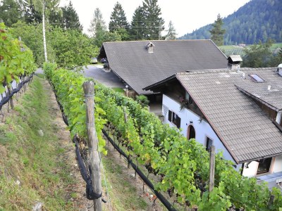 Holiday apartment Lana at Gruberhof Farm - Outdoor photo 3