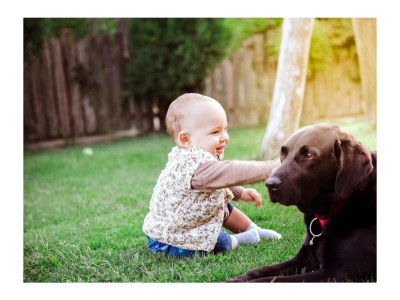 Holiday apartment Lana at Gruberhof Farm - Outdoor photo 7