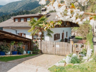 Holiday apartment Lana at Gruberhof Farm - Outdoor photo 8