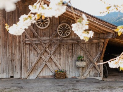 Holiday apartment Lana at Gruberhof Farm - Outdoor photo 9