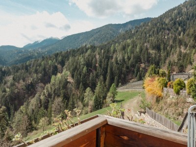 Holiday apartment Lana at Gruberhof Farm - Features photo 20