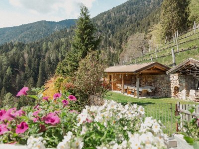 Holiday apartment Lana at Gruberhof Farm - Features photo 21