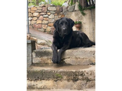 Holiday apartment Lana at Gruberhof Farm - Features photo 22