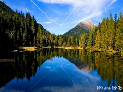 Holiday park Amazing chalet with Finnish Sauna - Environment photo 27