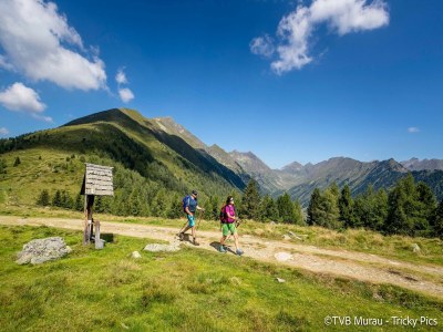 Holiday park Amazing chalet with Finnish Sauna - Environment photo 32