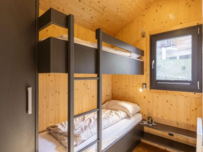 Holiday park Appealing chalet with sauna - Features photo 12