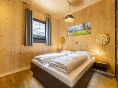 Holiday park Appealing chalet with sauna - Features photo 17