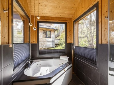Holiday park Appealing chalet with sauna - Features photo 18