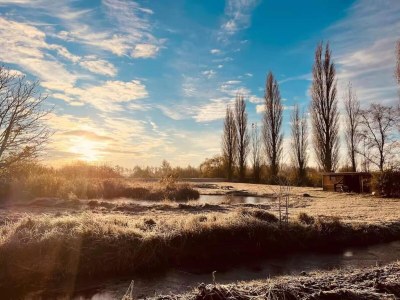 Holiday park Ferienhaus mit Garten in der Nähe von Tjeukermeer - Environment photo 23