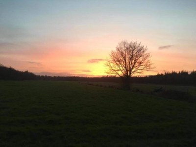 Holiday park Ferienhaus mit Garten in der Nähe von Tjeukermeer - Environment photo 28