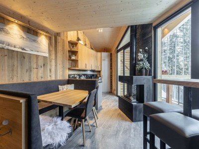 Holiday park Apartment close to the ski area - Features photo 10