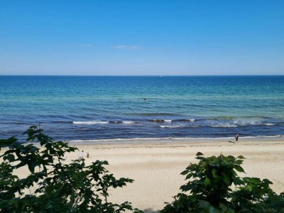 Holiday house Idyllisches Ferienhaus mit Terrasse in Rerik - Environment photo 34