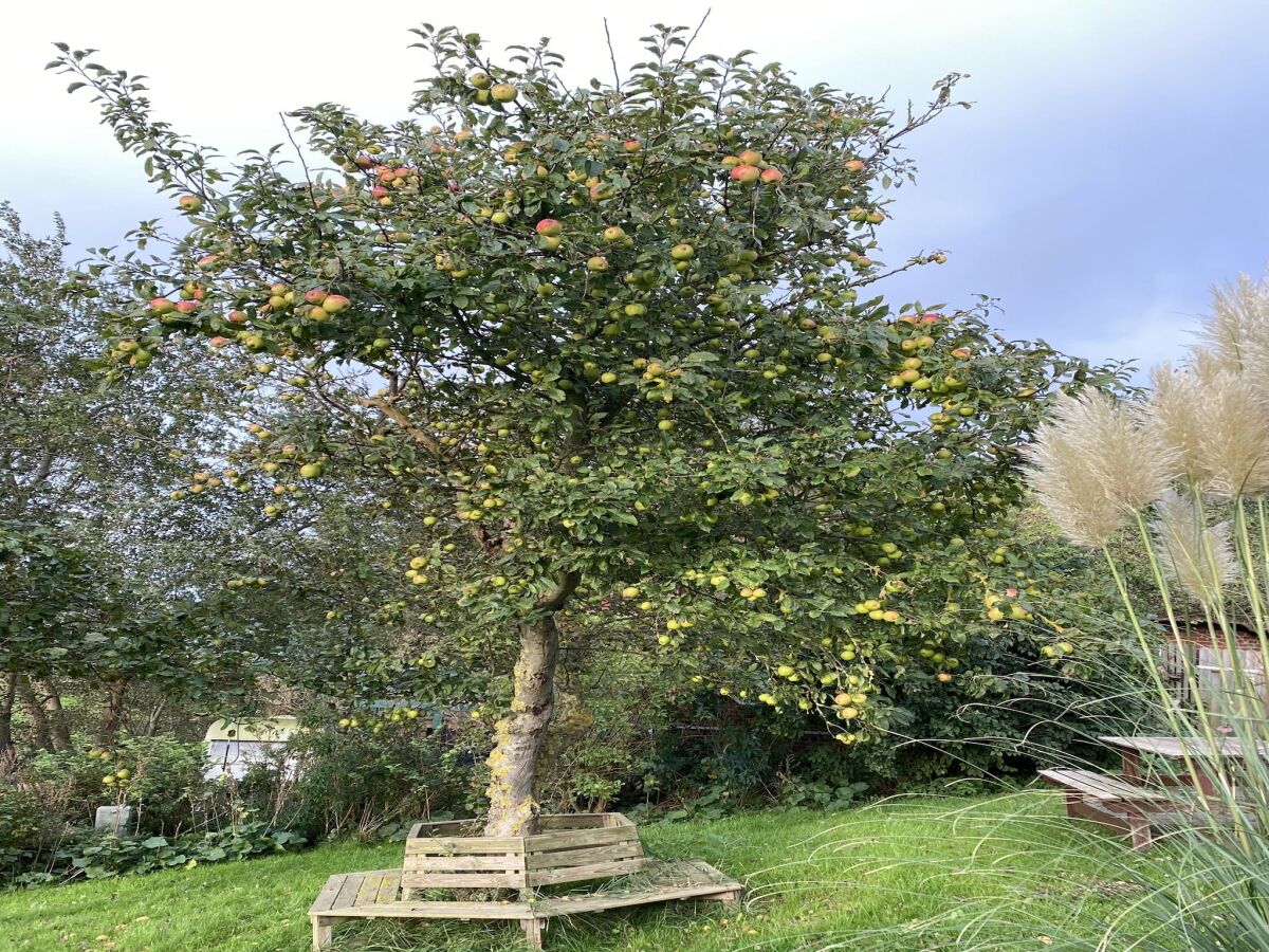 Holiday house Opas Hus auf Pellworm - Outdoor photo 4