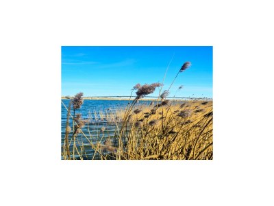 Apartment Appartement im Wangerland Resort - Outdoor photo 17