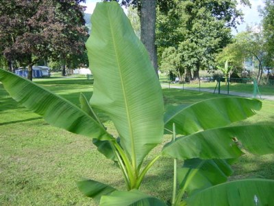 Holiday house spacious holiday home - Environment photo 17