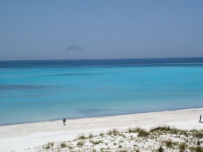 Holiday apartment in the Casa la Macchia - Environment photo 32