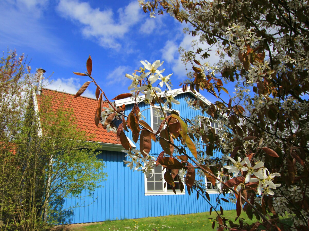 Holiday house Storch - Outdoor photo 5