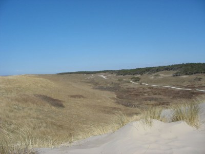 Holiday apartment Petten Beach 12 - Environment photo 17