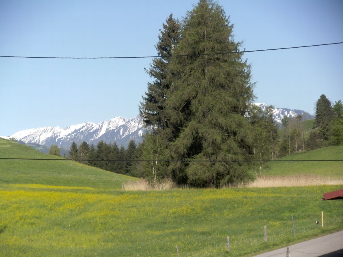 Holiday apartment Waltner - Outdoor photo 3