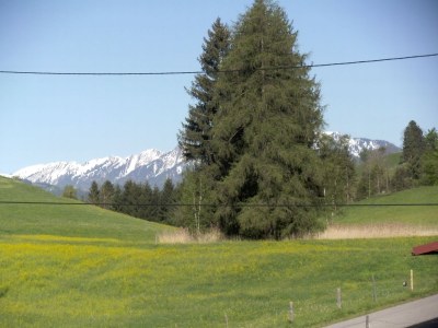 Holiday apartment Waltner - Outdoor photo 3