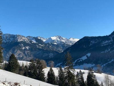 Holiday apartment Waltner - Outdoor photo 9