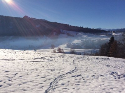 Holiday apartment Waltner - Outdoor photo 10