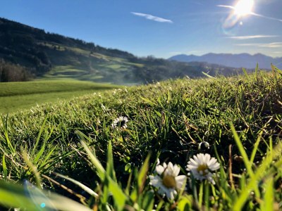 Holiday apartment Waltner - Outdoor photo 11