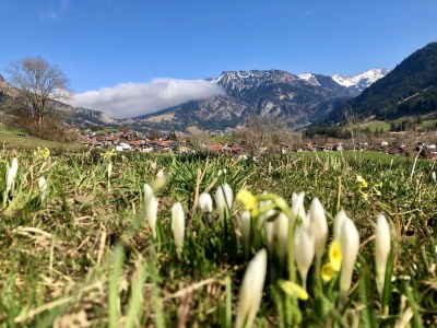 Holiday apartment Waltner - Outdoor photo 12