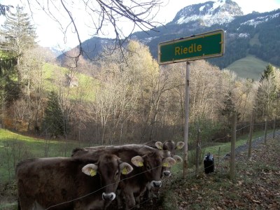 Holiday apartment Waltner - Environment photo 27