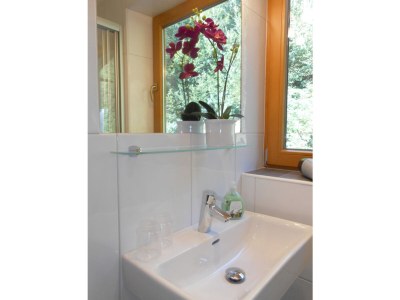 Holiday apartment Apartment Zillertal Arena - Features photo 8