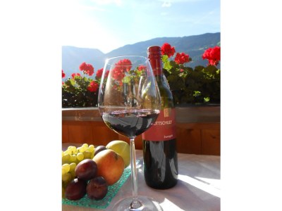 Holiday apartment Apartment Zillertal Arena - Features photo 9