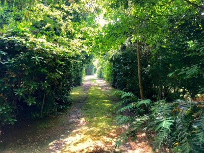 Bungalow Klein-Duinoord: Esdoorn - Outdoor photo 5