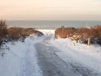 Bungalow Klein-Duinoord: Esdoorn - Environment photo 18