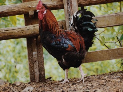 Holiday apartment Reutl - Outdoor photo 11