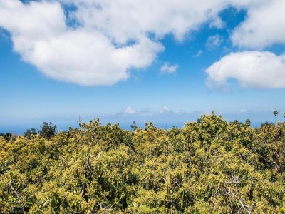 Cottage Holiday Home in Tenerife with Private Garden - Outdoor photo 10