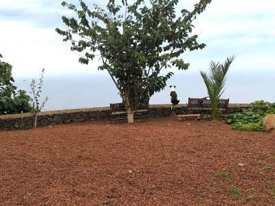 Cottage Holiday Home in Tenerife with Private Garden - Outdoor photo 13