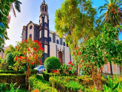 Cottage Holiday Home in Tenerife with Private Garden - Environment photo 32