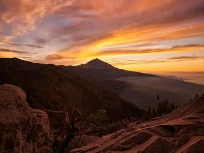 Cottage Holiday Home in Tenerife with Private Garden - Environment photo 35